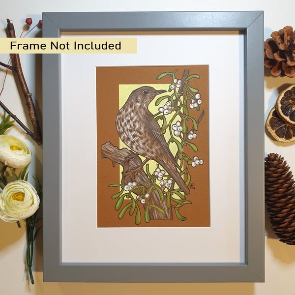 A Mistle Thrush with Mistletoe original drawing, small artwork, bird wall art