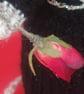 Hand Knitted Mouse- Gee - Image 3