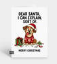 Funny Snarky Christmas Card - Can Explain Dog - Image 1