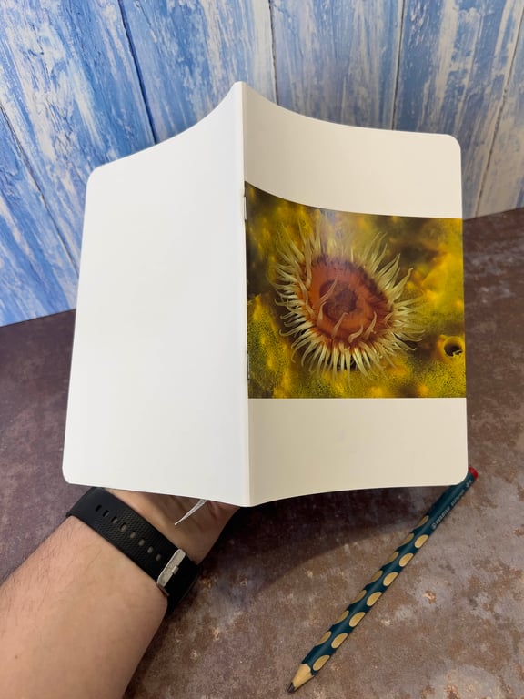 Notebook, Marine themed, A5 (ish), made from up-cycled and recycled materials.