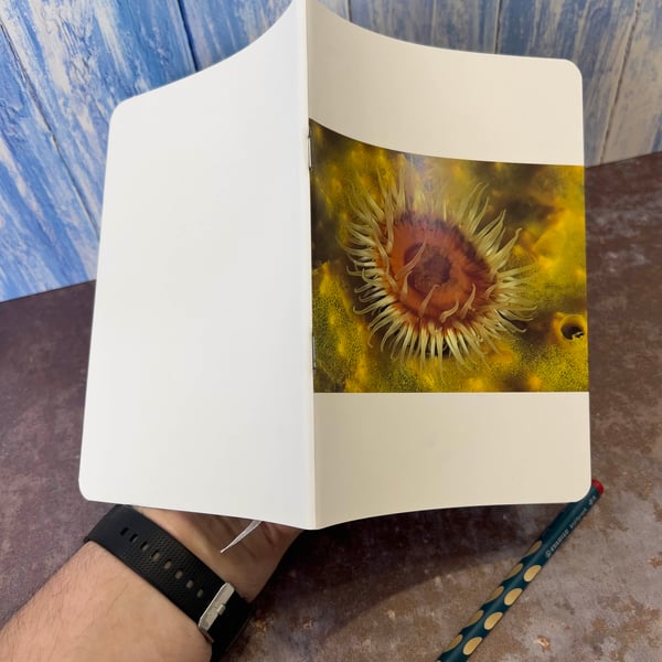 Notebook, Marine themed, A5 (ish), made from up-cycled and recycled materials.