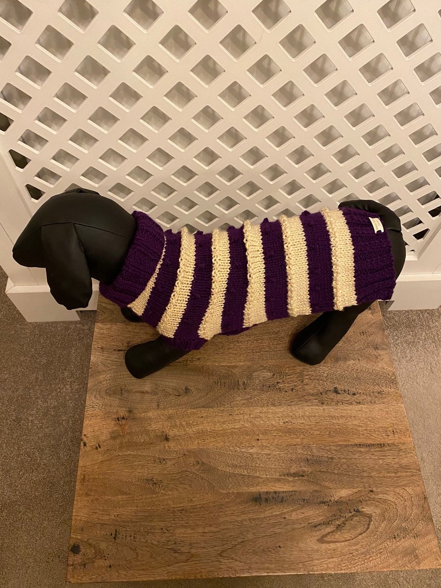 Dog Jumper - Ideal for a Miniature Dachshund or Small Dog, Roll Neck