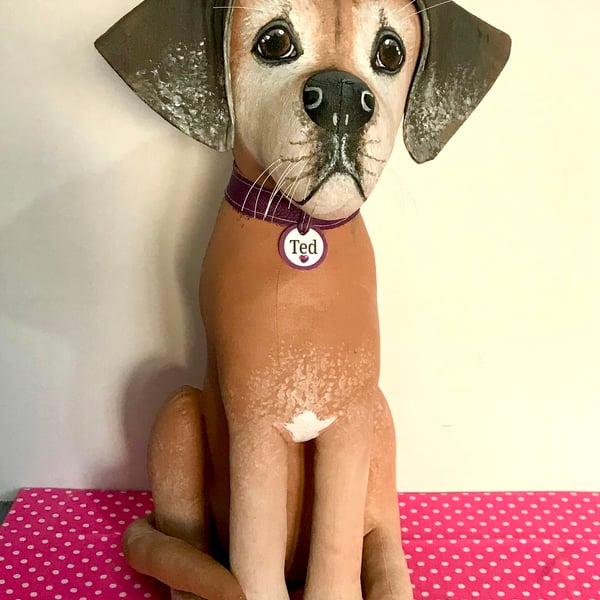Rhodesian Ridgeback 