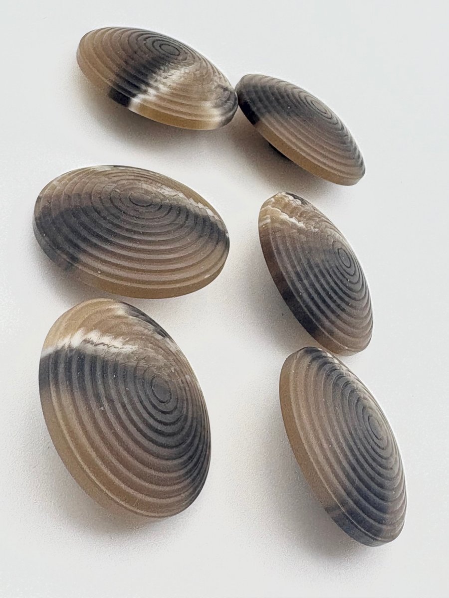 6 Chunky Buttons, Brown 30m, Cone Shaped, Tight Circles Design, Woodgrain