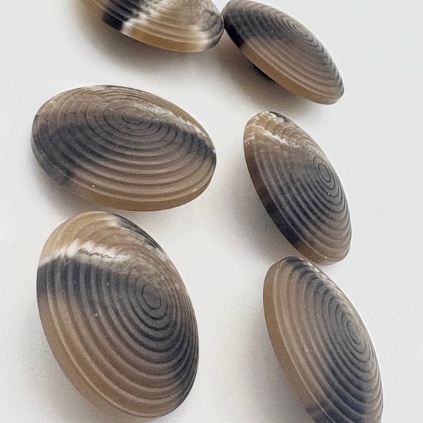 6 Chunky Buttons, Brown 30m, Cone Shaped, Tight Circles Design, Woodgrain