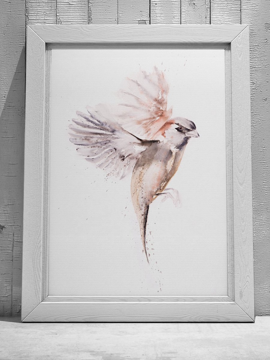 Sparrow Watercolour Painting - Hand Signed Limited Edition Print by Syman Kaye