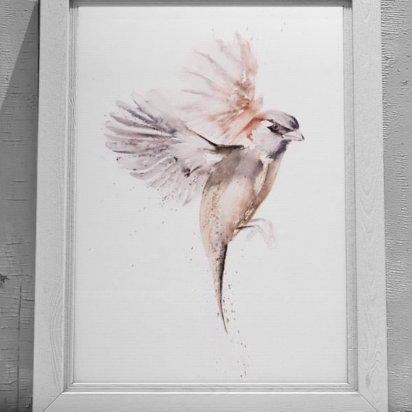 Sparrow Watercolour Painting - Hand Signed Limited Edition Print by Syman Kaye
