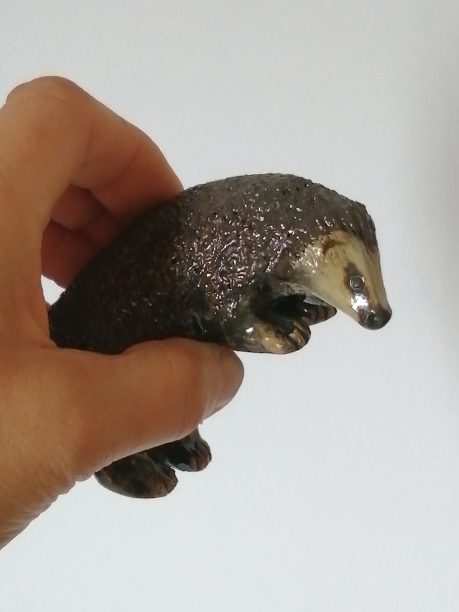 Climbing Hedgehog 2 of 2