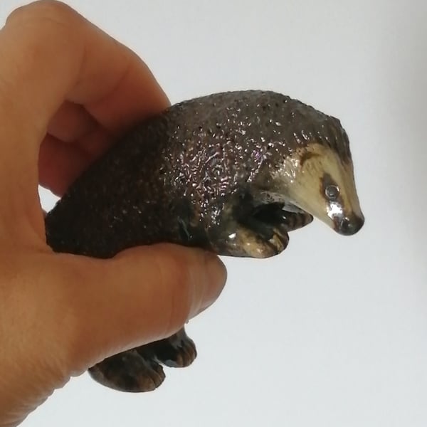 Climbing Hedgehog 2 of 2