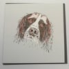  Coloured Spaniel Greeting card 
