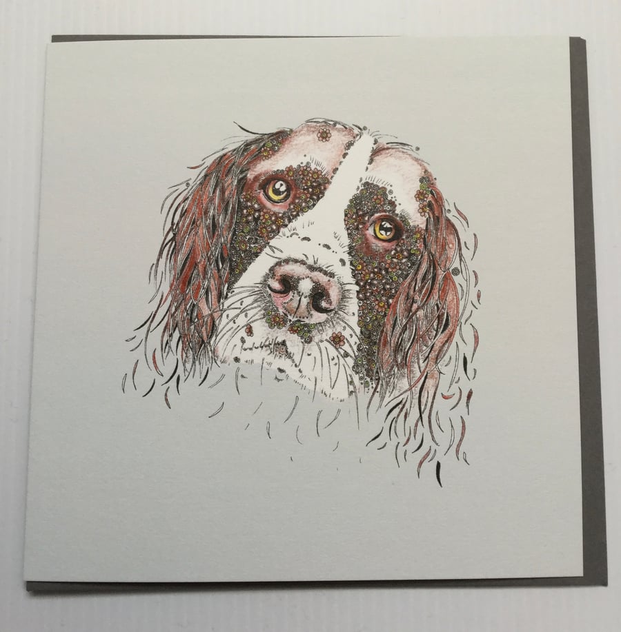 Coloured Spaniel Greeting card 