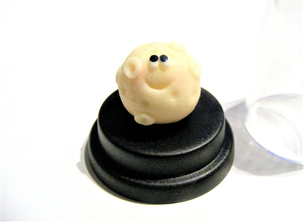 Pet Moon, glow in the dark moon, kawaii moon, To the moon and back