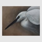 White Egret Oil Painting: Original Bird Wall Art (11x14 Fine Art) 