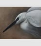 White Egret Oil Painting: Original Bird Wall Art (11x14 Fine Art) 