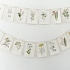 Paper Bunting 