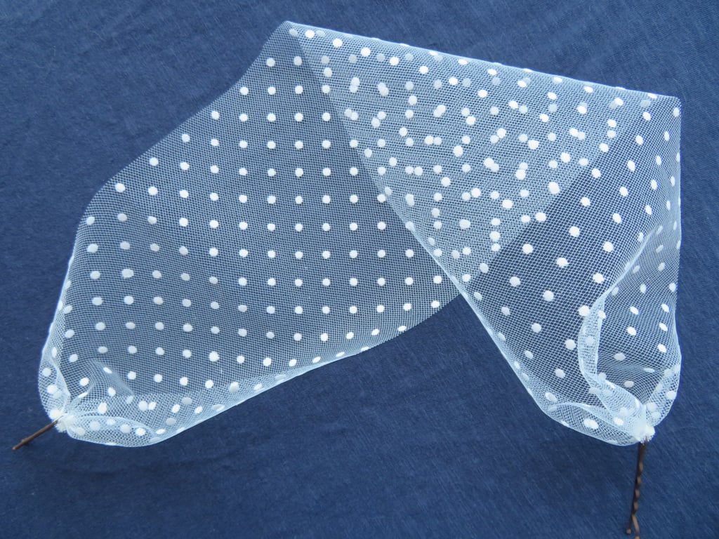 Ivory Cream Narrow Spot Spotted Polka Dot Tulle Soft Bandeau Vintage Eye Veil