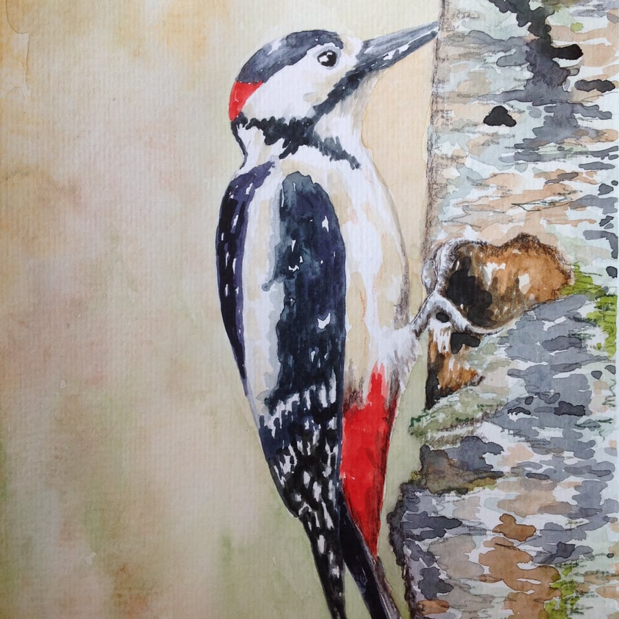 Woodpecker original watercolour painting
