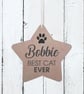 Best Cat - Personalised Hanging Star Plaque - Image 1