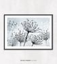 Seedheads Illustrated Art Print - Image 2