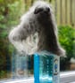 Lurcher Hound Bottle Topper Felted - Image 2