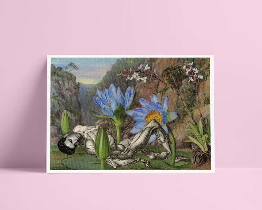 Burt - Macabre Anatomy Collage Art Print