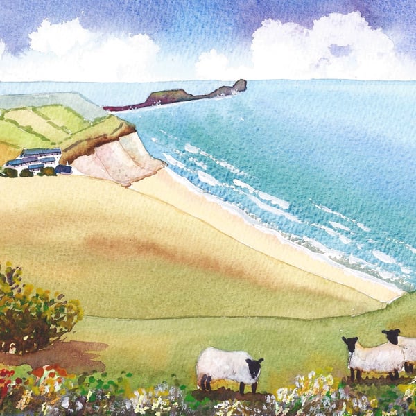 Gower Sheep, Rhossili Bay, South Wales, Watercolour Print in 14 x 11'' Mount