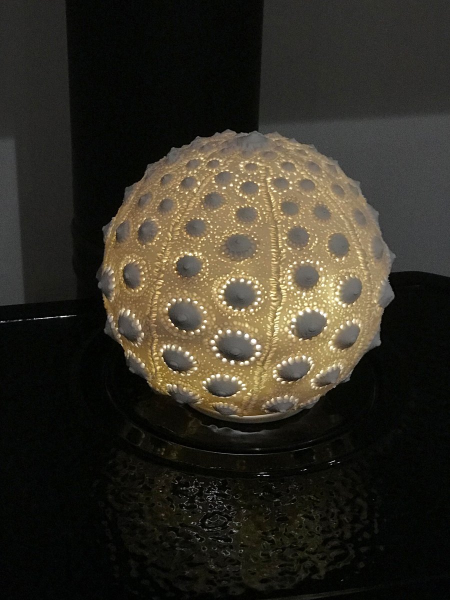 Handcrafted Porcelain Urchin Lamp