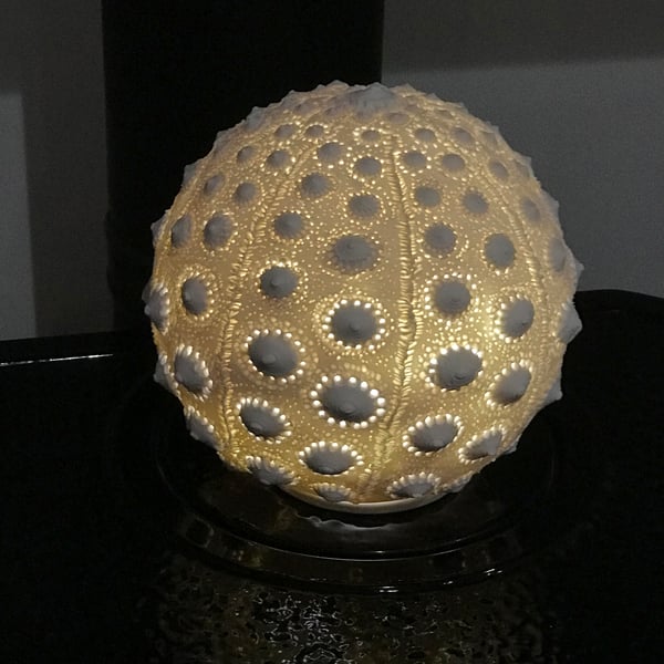 Handcrafted Porcelain Urchin Lamp