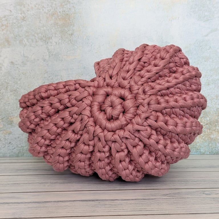 Ammonite basket, crochet shell, home decor, nautilus, fossil, T-shirt yarn
