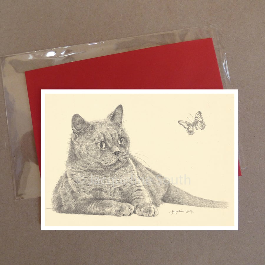 Cat greeting card with envelope