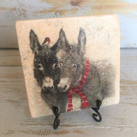 Donkey Natural Stone Coasters