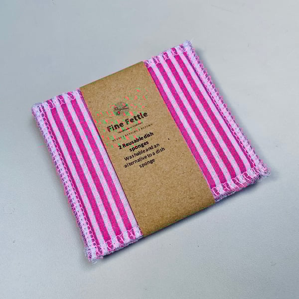 Reusable Dish Sponge