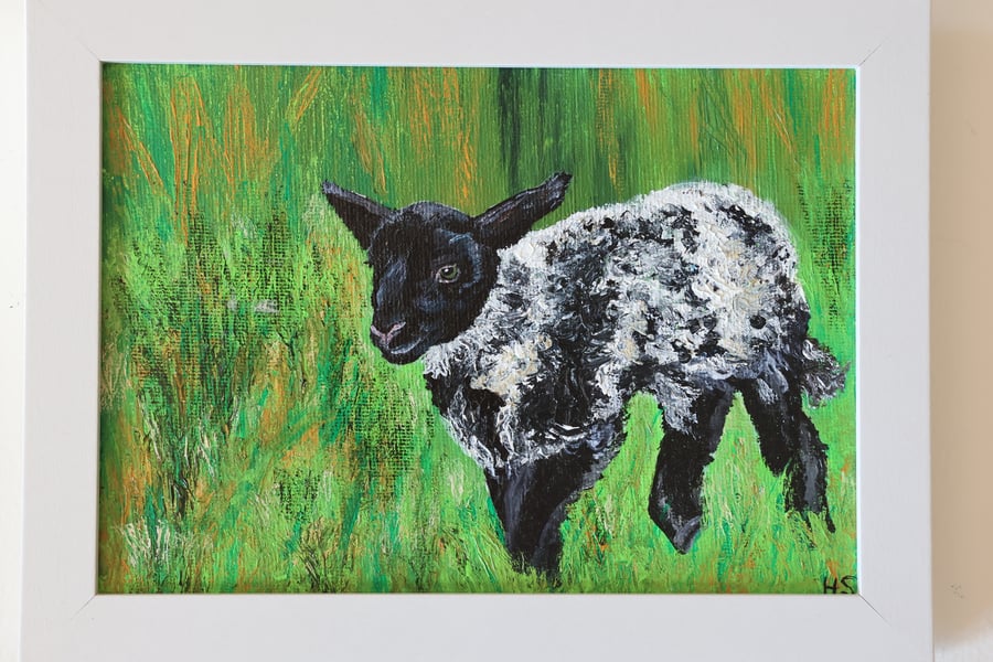 Fermanagh Lamb Painting