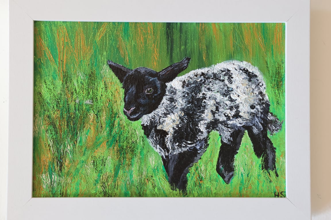 Fermanagh Lamb Painting
