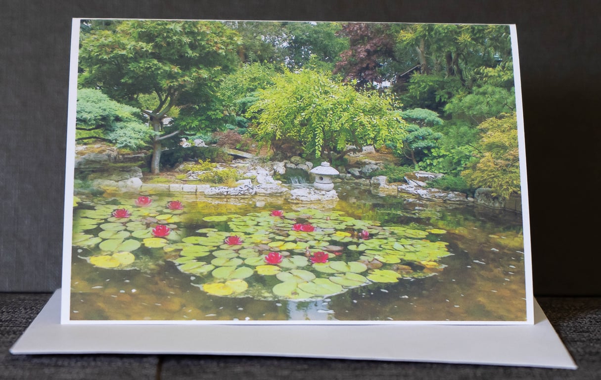 A6 Blank Greetings Card featuring Scenic Pond with Water Lilies