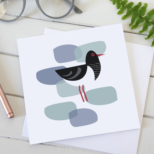 Oystercatcher Blank Greetings Card 