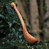 Apple wood spice scoop