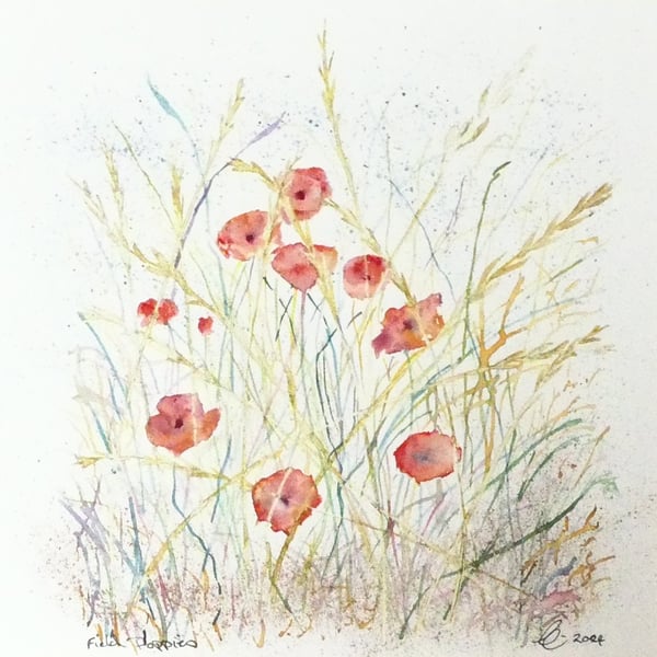 Framed Wild Poppy Flowers Botanical Original Watercolour Painting 
