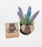 Owl: Decorated Wooden Ring Trinket Box 7cm & Hanging Heart - Image 5