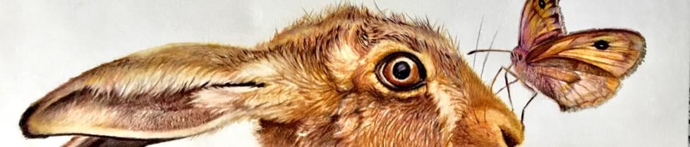 Justine Williams Art