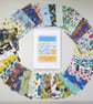 Patchwork I-Spy Quilt Starter Pack - Image 3