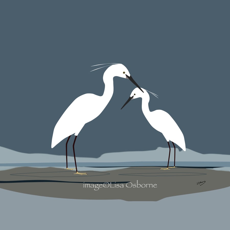 Little egrets - print from digital illustration. Birds. Waders.