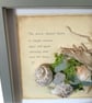 Seaside Curiosities Shadow Box. Coastal Wall Art with Sea Glass and Shells - Image 6