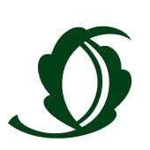 Designs by nature cards