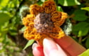 Brooches