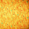 Mixed Leaves on Orange & Yellow background - fat quarter