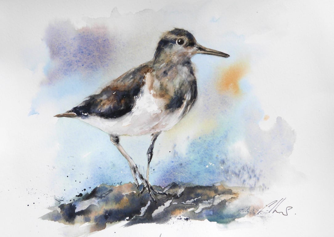 A Robin, Original Watercolour Painting.