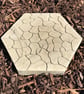 Stepping Stones, Insect Drinkers, Setof 5 - Image 4