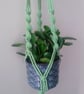 Macrame Plant Hangers - Image 8
