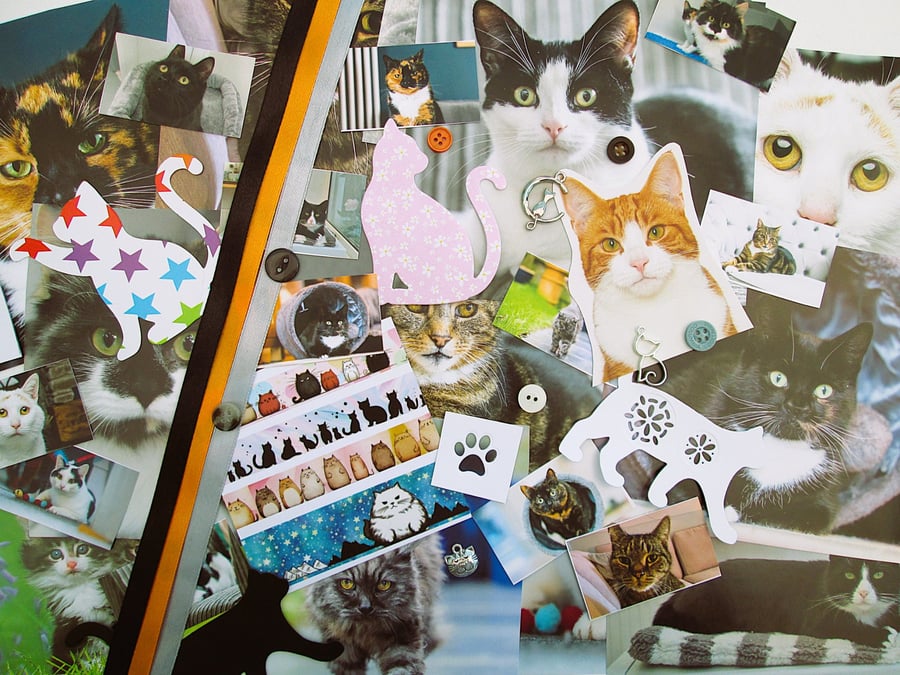 Cat junk journal or scrapbook ephemera bundle